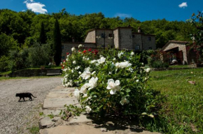 Agriturismo Azienda Agricola Il Pozzo